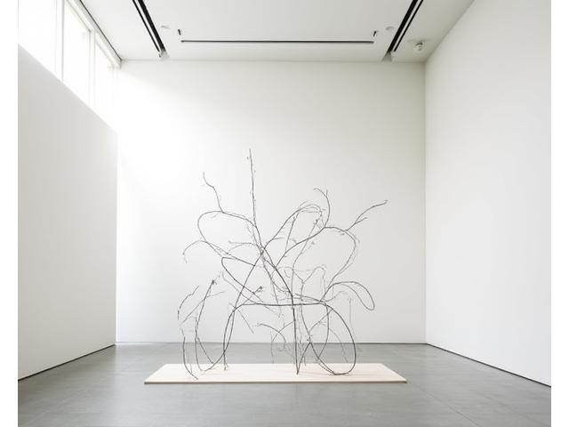 실내 설치 미술 작품